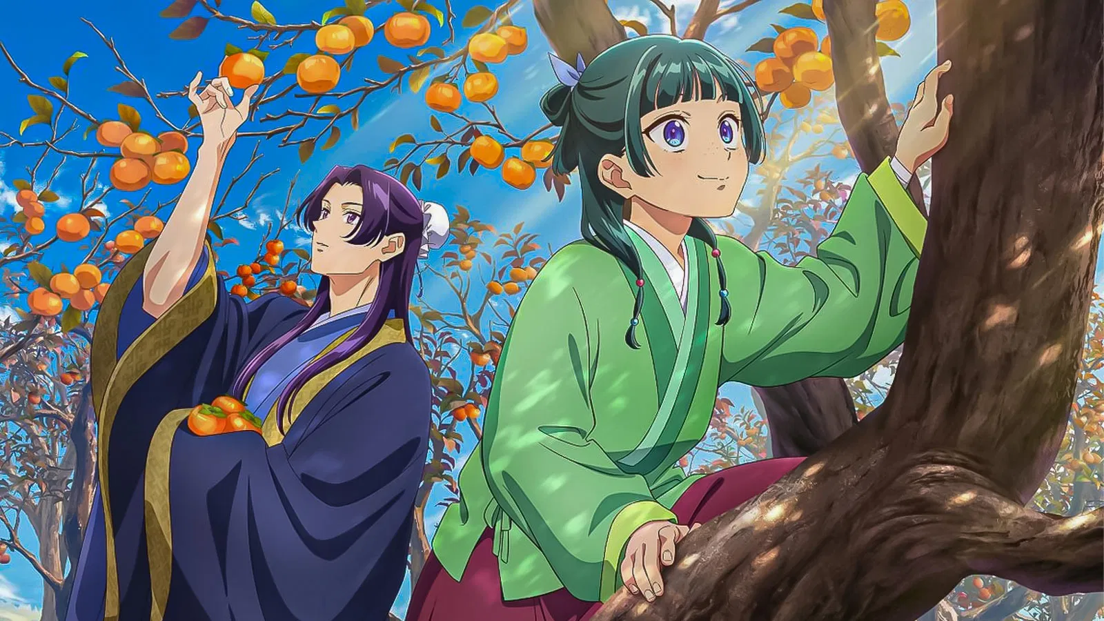 Maomao’s real age at the beginning of the story