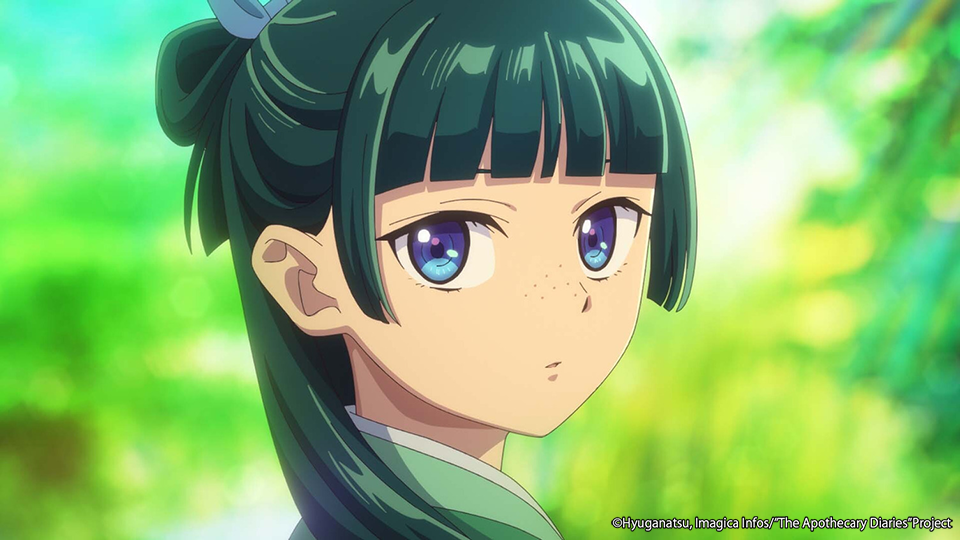 The Apothecary Diaries Characters: A Complete Guide to the Main Cast and Key Figures 2 Maomao