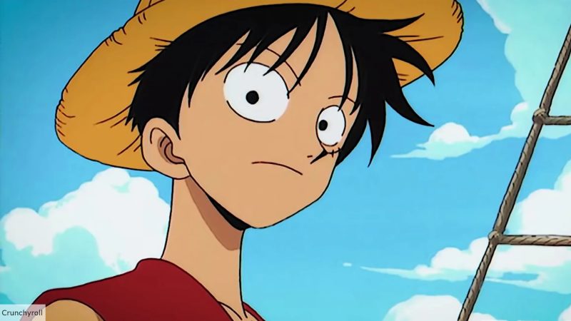 How Old is Luffy