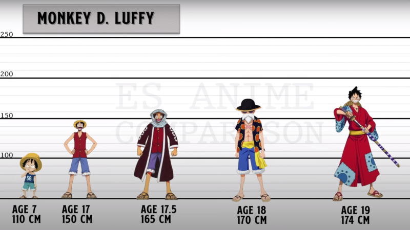 How Old is Luffy